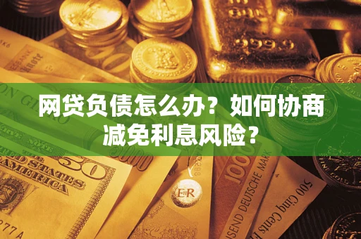 武汉网贷负债怎么办？如何协商减免利息风险？