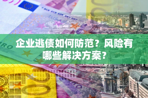武汉企业逃债如何防范？风险有哪些解决方案？