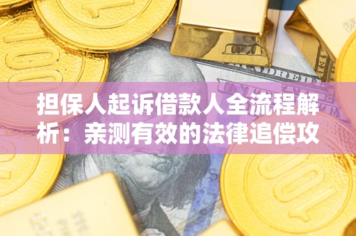 武汉担保人起诉借款人全流程解析：亲测有效的法律追偿攻略