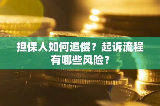 武汉担保人如何追偿？起诉流程有哪些风险？