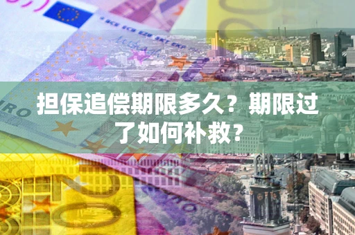 武汉担保追偿期限多久？期限过了如何补救？