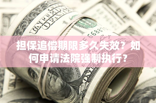 武汉担保追偿期限多久失效？如何申请法院强制执行？