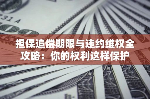 武汉担保追偿期限与违约维权全攻略：你的权利这样保护