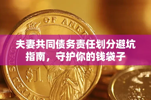 武汉夫妻共同债务责任划分避坑指南，守护你的钱袋子