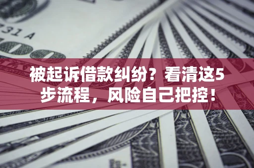 武汉被起诉借款纠纷？看清这5步流程，风险自己把控！