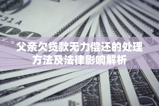 武汉父亲欠贷款无力偿还的处理方法及法律影响解析