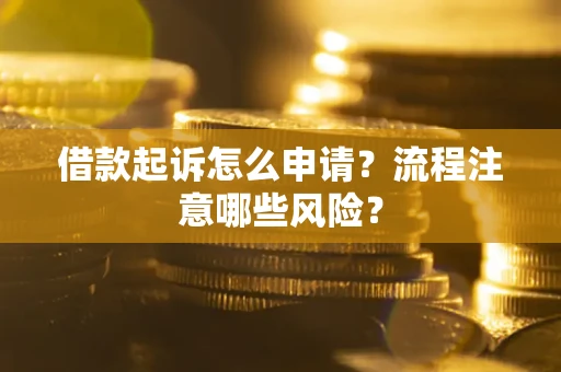 武汉借款起诉怎么申请？流程注意哪些风险？