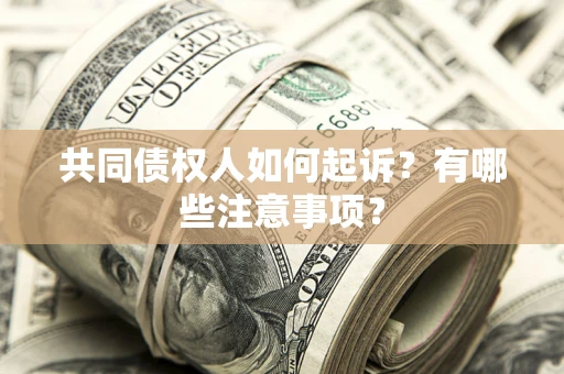 武汉共同债权人如何起诉？有哪些注意事项？